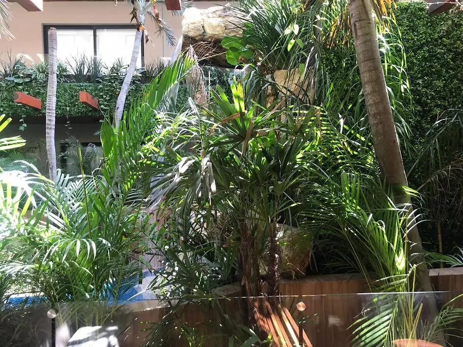 Lejlighed 218 Stylish Studio Delux Condo Fast Wifi Tulum